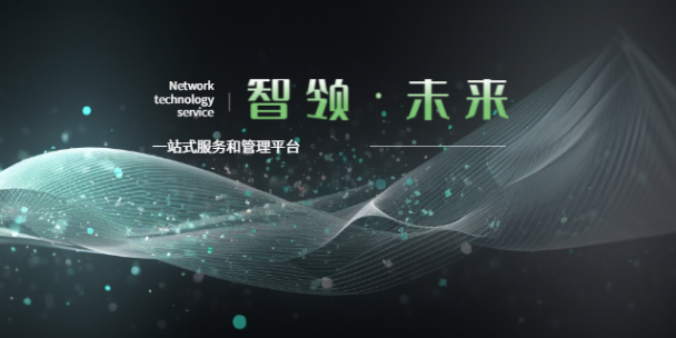 陕西个性化网络服务运营按需定制,网络服务运营