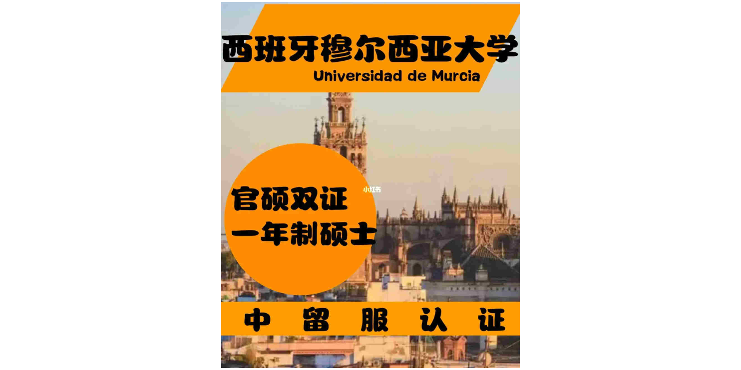濟南本地的西班牙穆爾西亞大學ENAE商學院 秀珍教育科技供應