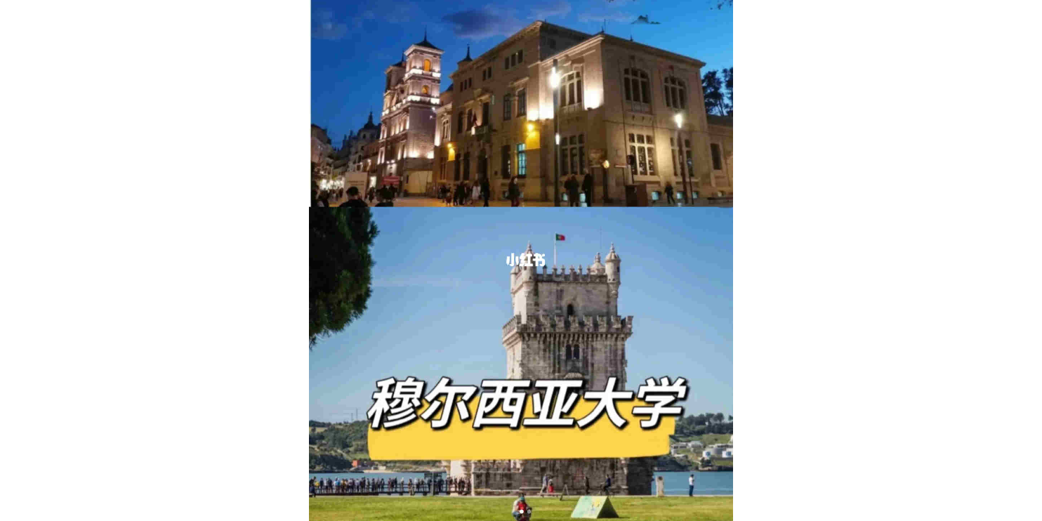 济南专业的西班牙穆尔西亚大学ENAE商学院,西班牙穆尔西亚大学ENAE商学院