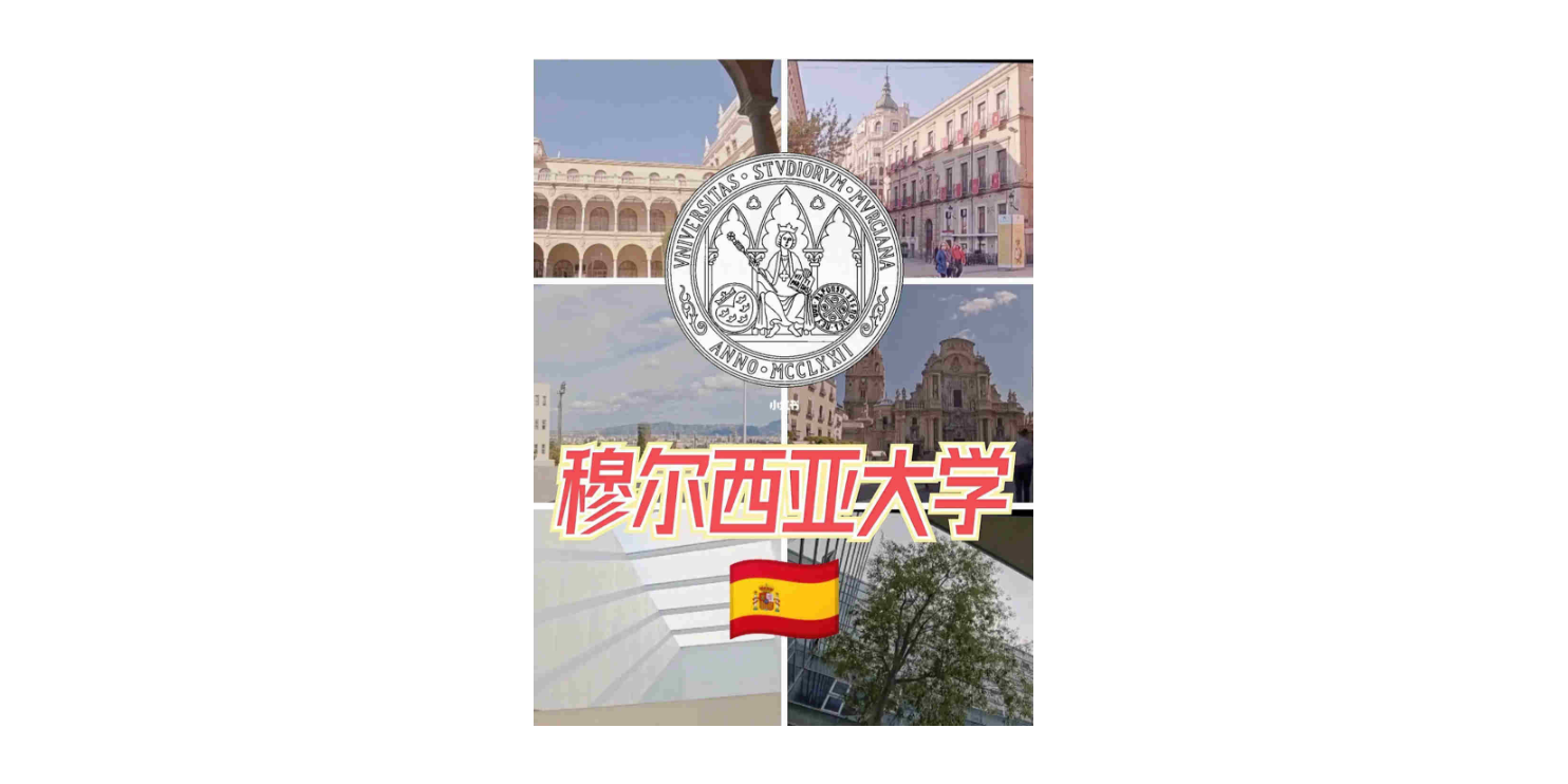 济南服务好的西班牙穆尔西亚大学ENAE商学院 秀珍教育科技供应;