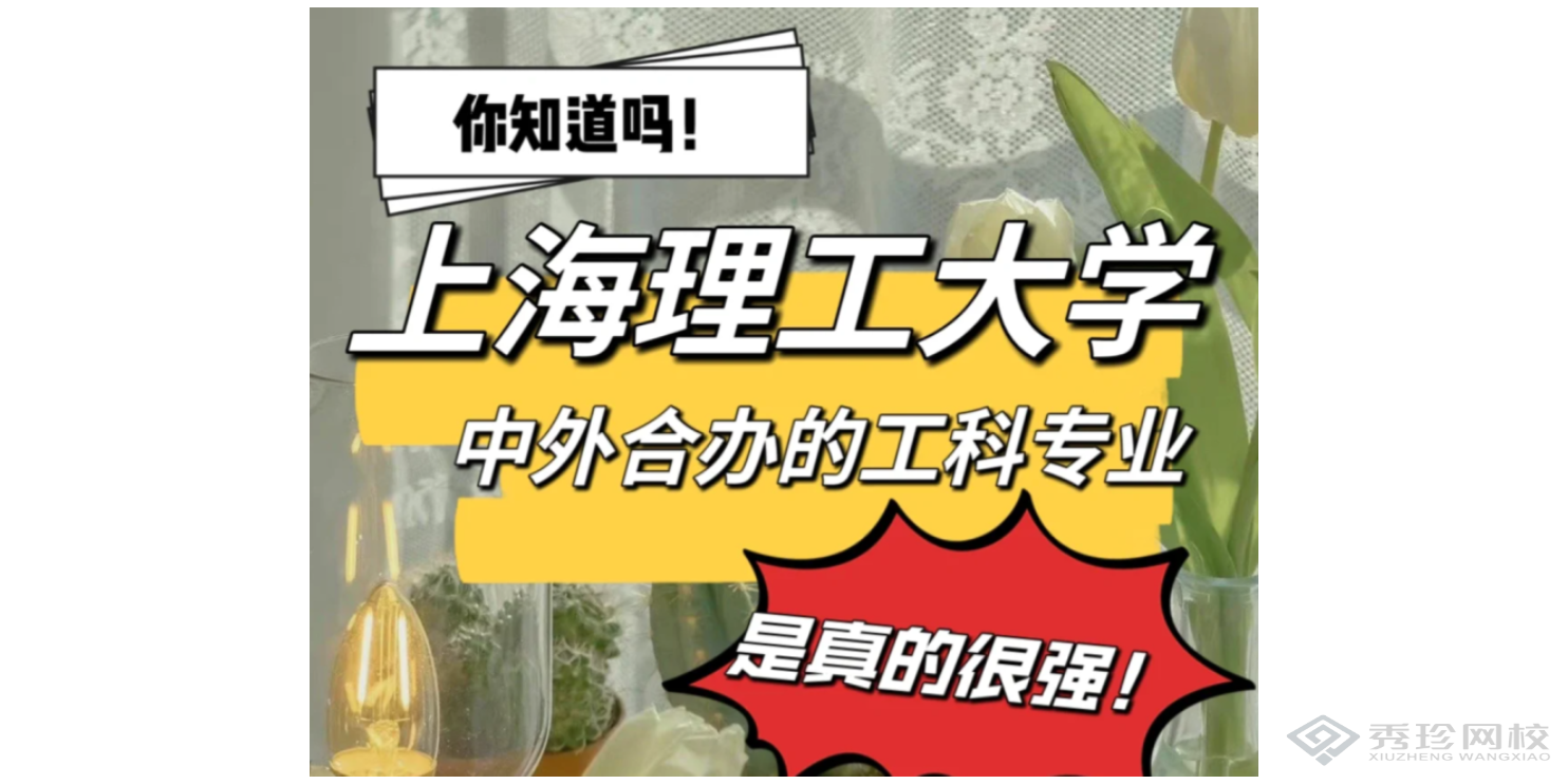 内蒙古性价比高的机构上海理工大学中英国际学院本科哪家靠谱,上海理工大学中英国际学院本科