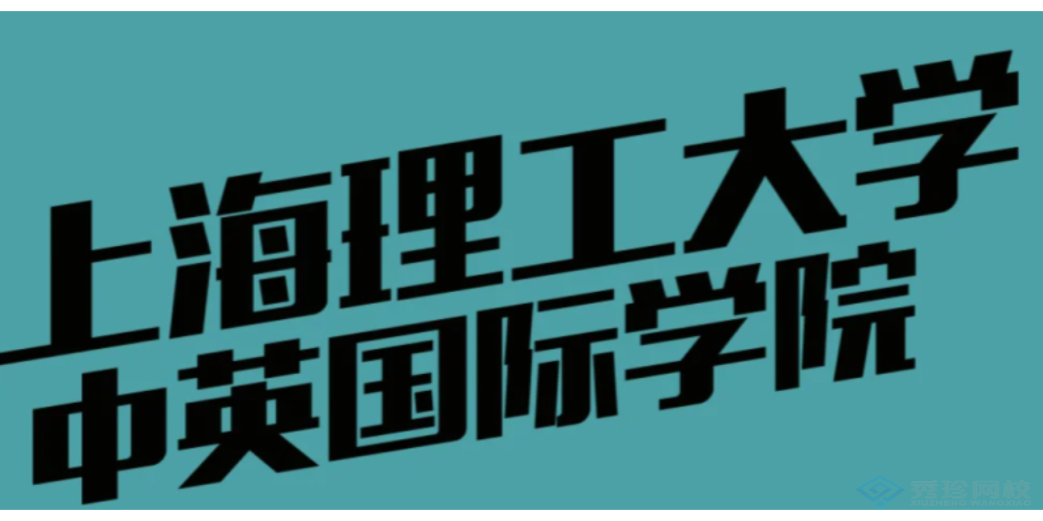 山西优势大的机构上海理工大学中英国际学院本科怎么收费