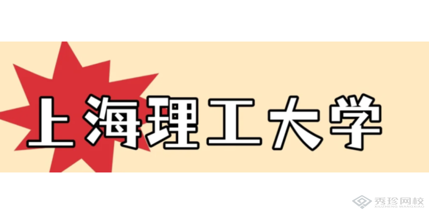 天津优势大的机构上海理工大学中英国际学院本科大概价格