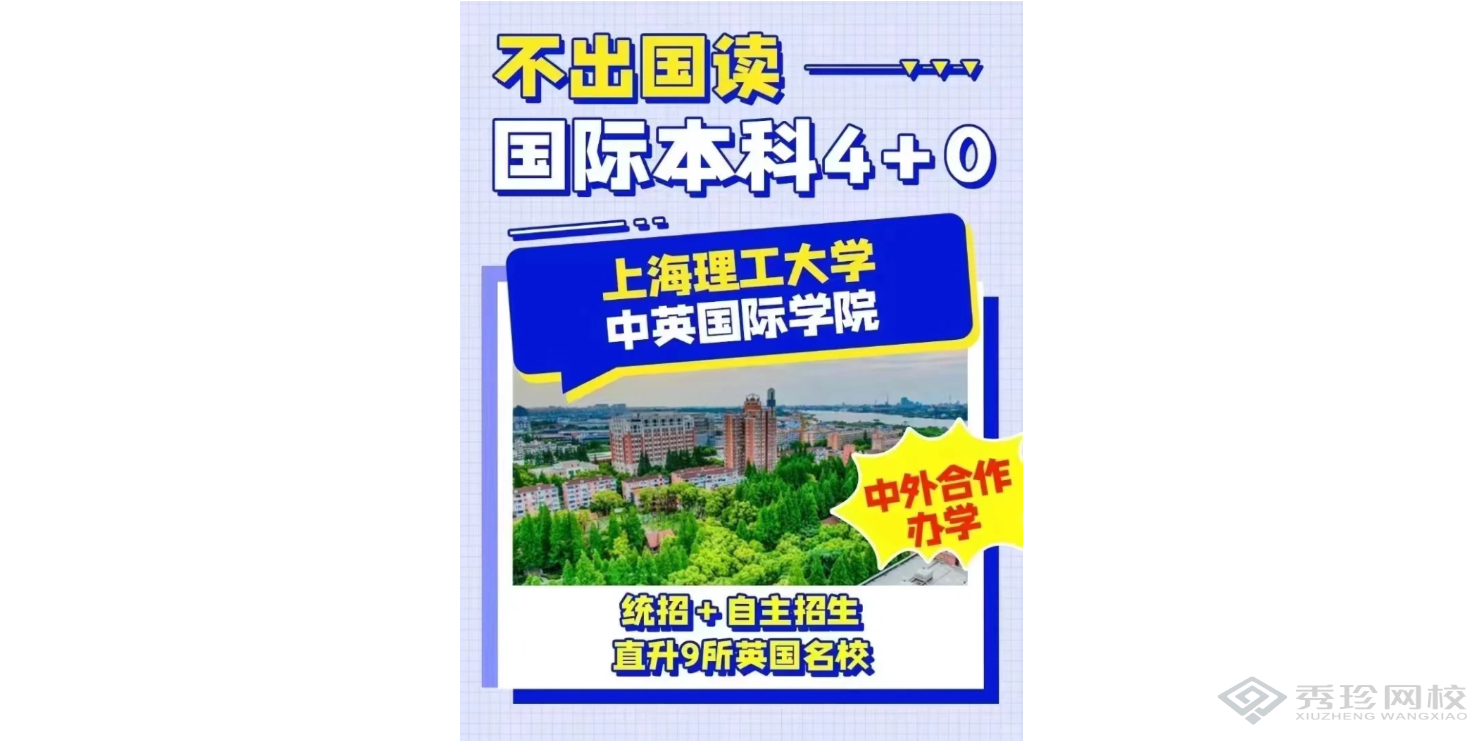 内蒙古含金量高的机构上海理工大学中英国际学院本科有哪些