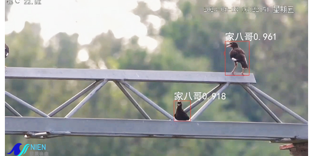 芜湖哪些远距离AI智能识别监控摄像机 深圳尼恩光电技术供应;