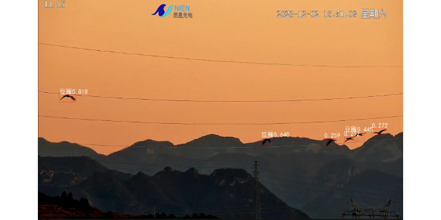 青海远距离AI智能识别监控摄像机栏目 深圳尼恩光电技术供应