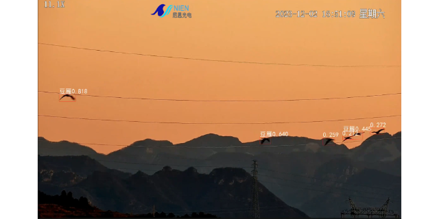黄石远距离AI智能识别监控摄像机大概价格 深圳尼恩光电技术供应;