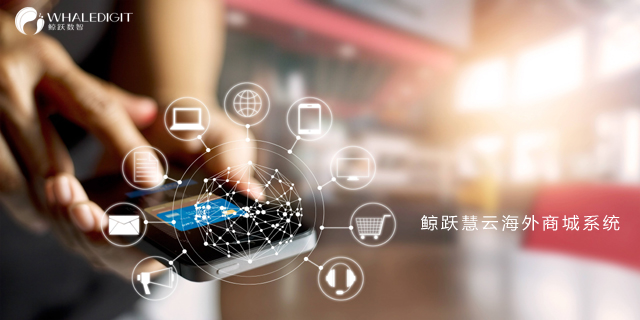 寧波外貿(mào)獨(dú)立站 寧波鯨躍數(shù)智科技供應(yīng)