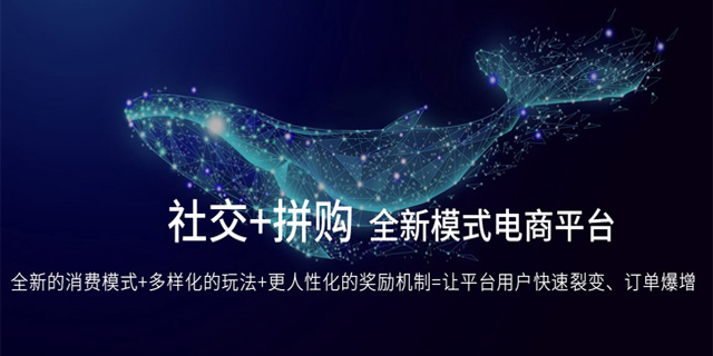 寧波外貿(mào)獨立站銷售 寧波鯨躍數(shù)智科技供應