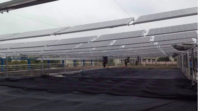 上海自建房分布式光伏发电组件厂家