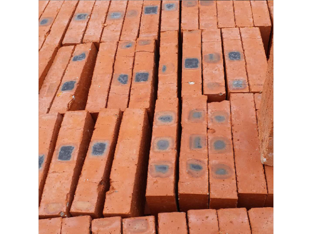 温州高质量红砖 客户至上 浙江振阳建材供应
