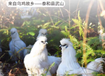 品健康，读人生