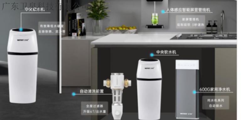 Elemento de filtro de purificador de água de catering de Sichuan substituiu Guangdong Weiquian Technology Supply
