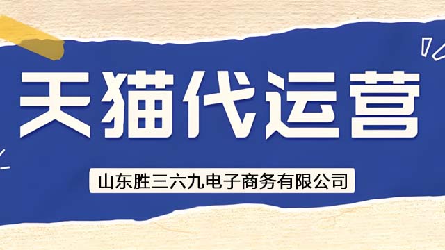 济阳区电商天猫代运营经验 服务至上 山东胜三六九电子商务供应