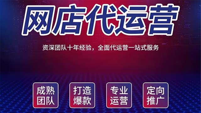 平阴选购淘宝代运营服务商 贴心服务 山东胜三六九电子商务供应