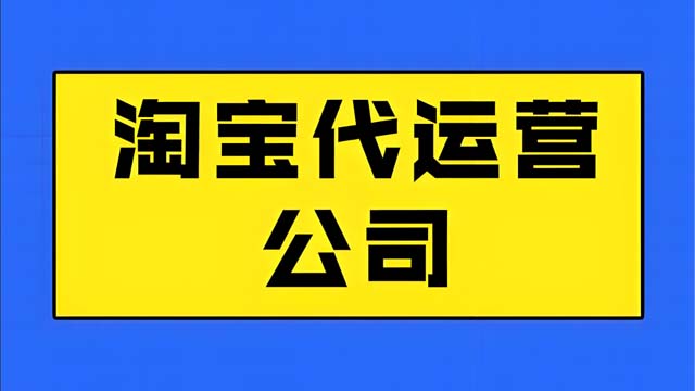 高新区淘宝代运营企业 诚信服务 山东胜三六九电子商务供应