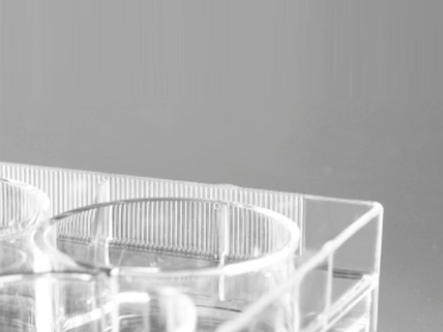 上海齿环设计细胞培养皿规格 江苏博美达生命科学供应