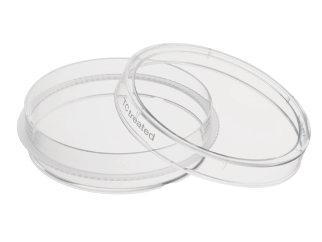 蘇州獨立包裝細胞培養(yǎng)板銷售廠家 江蘇博美達生命科學供應