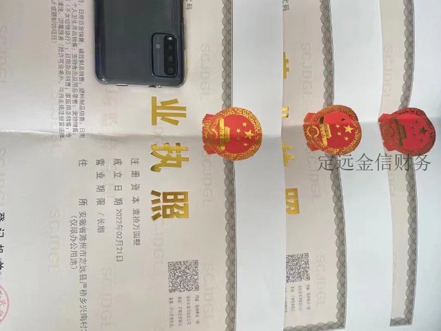 松江区公司注册及变更备案 信息推荐 定远县金信财务管理供应