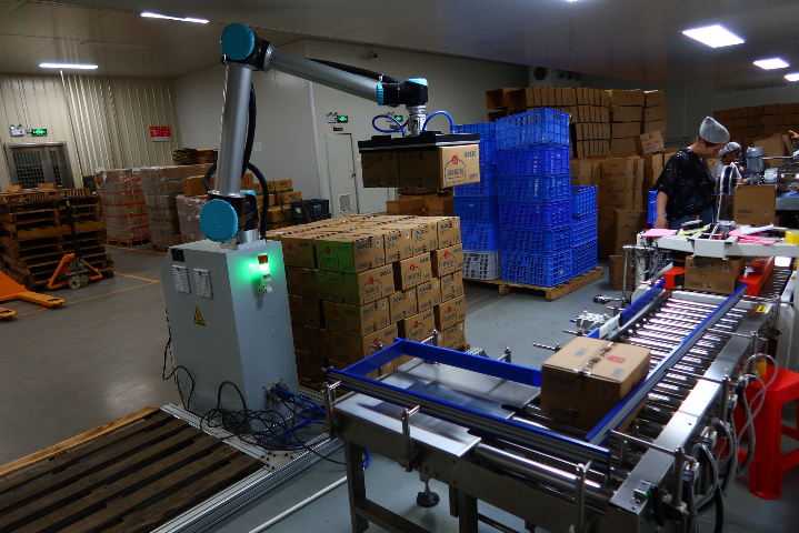 无锡30KG机器人自动码垛单元多少钱 欢迎来电 江苏飏天机器人科技供应