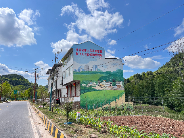 四川新农村墙体彩绘价位 四川蓉城福道文化传播供应