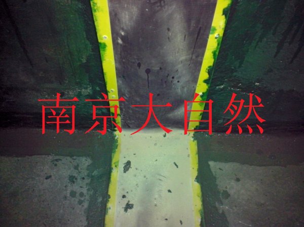 烟道膨胀节