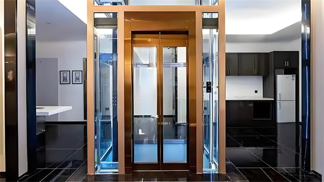 山东自建房别墅观光电梯多少钱 服务为先 美利达电梯供应