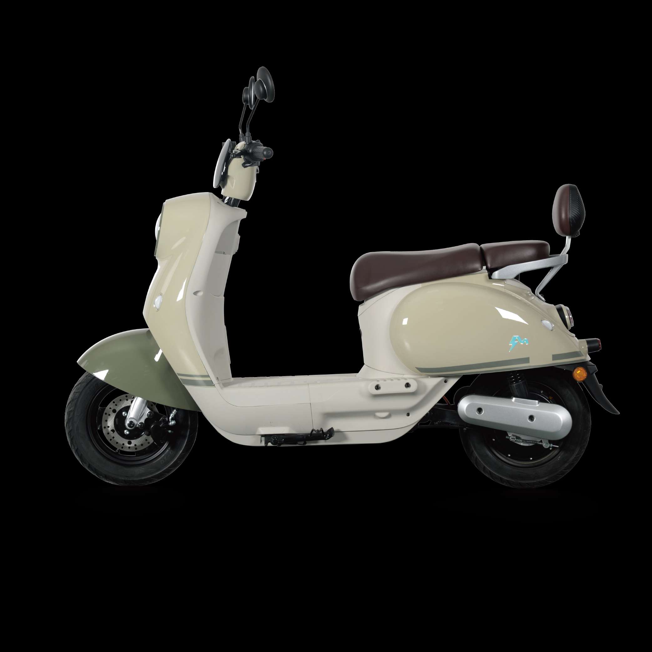 Electric Scooter M15