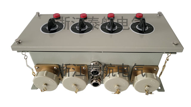 遼寧專業(yè)船用貨艙插座箱定制 歡迎咨詢 浙江泰航電氣供應(yīng)