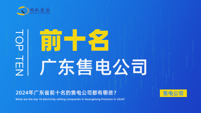 河源可靠的售电公司是什么 广东蚂蚁金谷能源科技供应