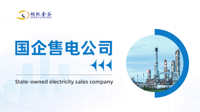 梅州国能售电公司服务 广东蚂蚁金谷能源科技供应