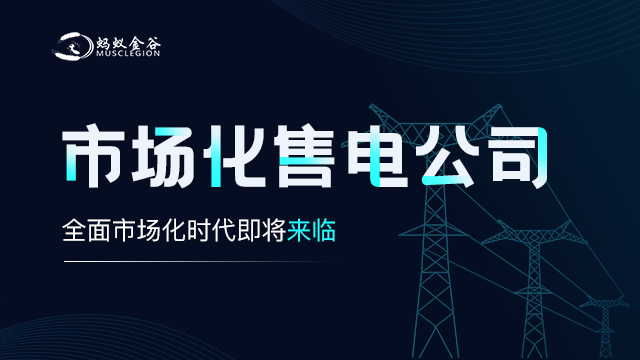 惠州电网售电公司加盟 广东蚂蚁金谷能源科技供应