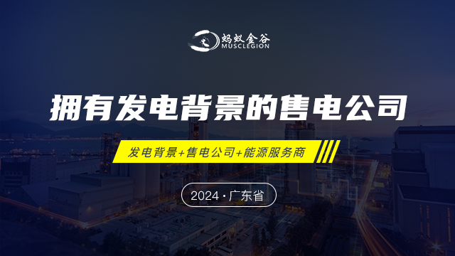 清远国家电网售电公司交易 广东蚂蚁金谷能源科技供应