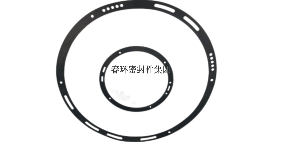 浙江环保制氢电解槽密封垫片 镇江春环密封件集团供应