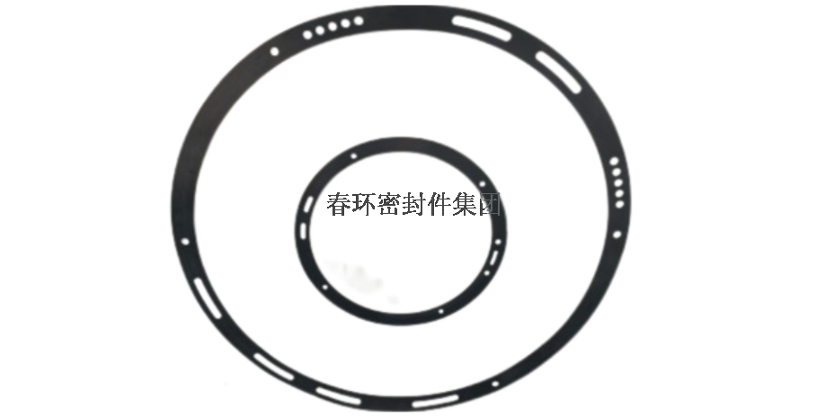 广东本地制氢电解槽密封垫片 镇江春环密封件集团供应