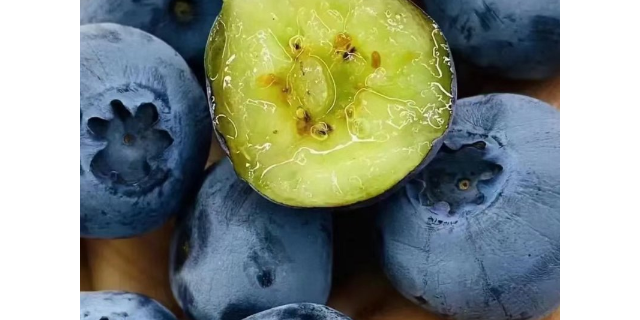 浙江什么是澄江蓝莓食用方法