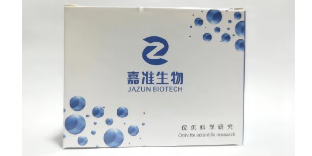 新疆肺炎衣原体核酸检测试剂盒（PCR荧光探针法） 欢迎来电 广州市嘉准生物科技供应