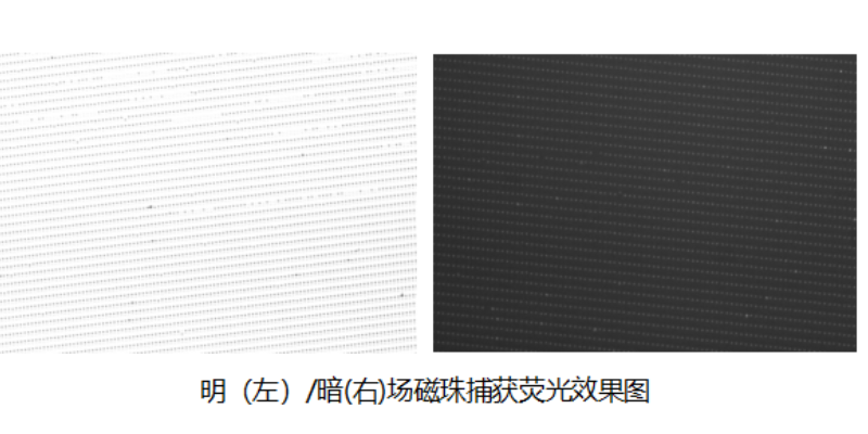中国香港微流控芯片是什么 深圳市勃望初芯半导体科技供应