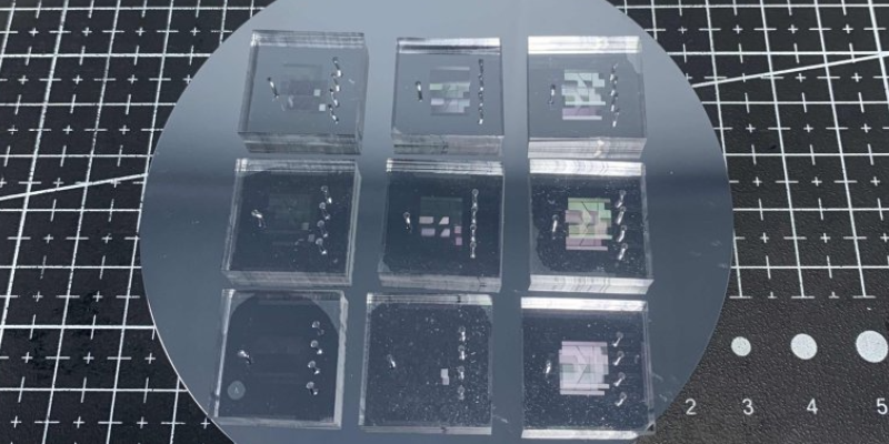 江苏微流控芯片中的流体流动 深圳市勃望初芯半导体科技供应