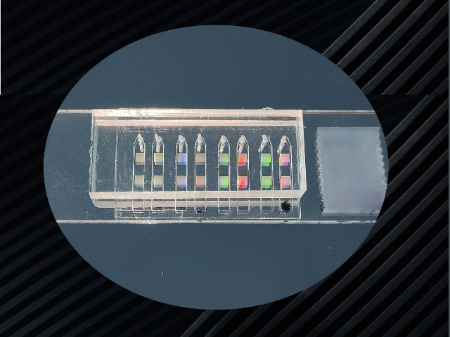 单分子阵列数字ELISA极速检测,数字ELISA