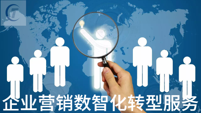 日照中小企业企业营销数智化转型服务建网站 欢迎咨询 山东桐宸管理咨询供应;