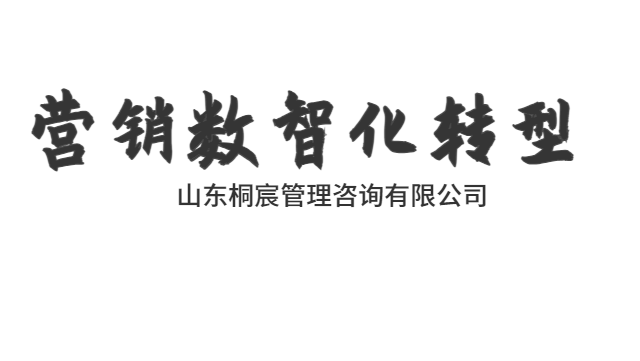 附近哪里有企業(yè)營(yíng)銷數(shù)智化轉(zhuǎn)型服務(wù)大概多少錢 貼心服務(wù) 山東桐宸管理咨詢供應(yīng)