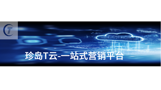 本地企业营销数智化转型服务客服电话 诚信经营 山东桐宸管理咨询供应