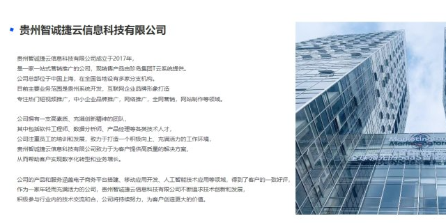 安顺网络推广网站建设基本流程 值得信赖 贵州智诚捷云信息科技供应