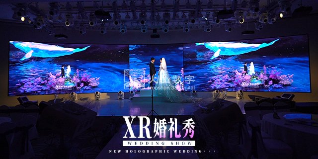 浙江婚礼全息宴会厅厂家 信息推荐 深圳市火山图像数字技术供应