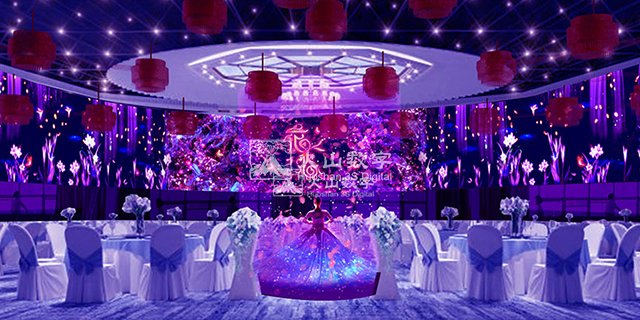 西藏婚礼全息素材全息宴会厅价格多少 欢迎来电 深圳市火山图像数字技术供应