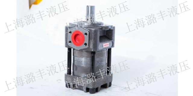 湖南低噪音齿轮泵出厂价 上海市潞丰液压技术供应