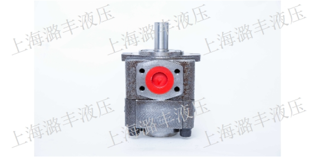 上海耐高温齿轮泵按需定制 上海市潞丰液压技术供应