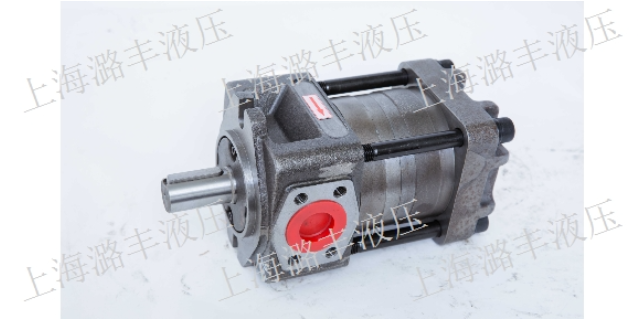 贵州伺服齿轮泵按需定制 上海市潞丰液压技术供应