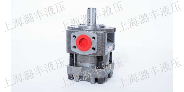 上海耐高温齿轮泵型号 上海市潞丰液压技术供应